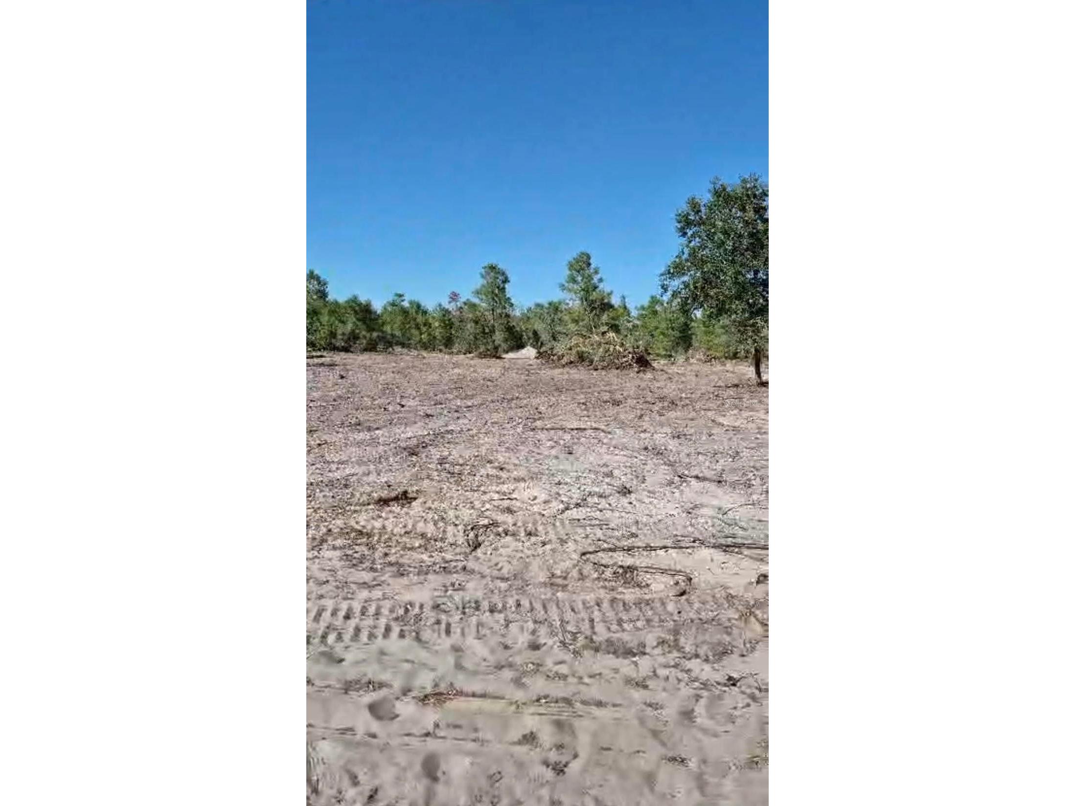 0 S Jackson Street Lake Wales FL 33859 P4939131 image1