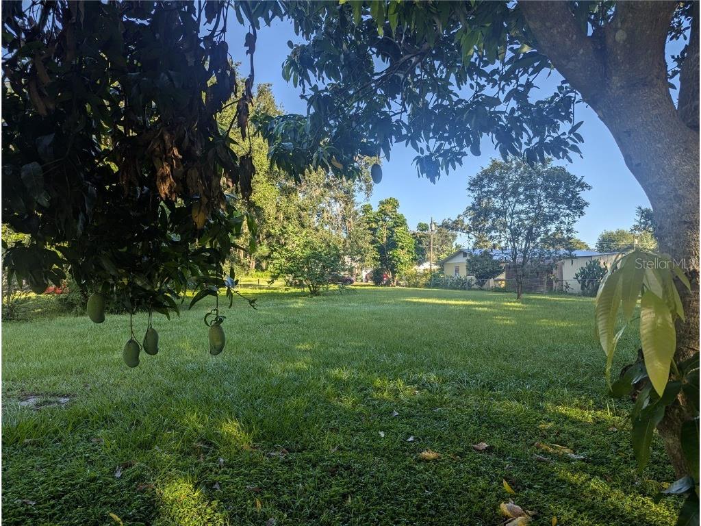 0 S Perry Avenue Fort Meade FL 33841 K4902894 image5