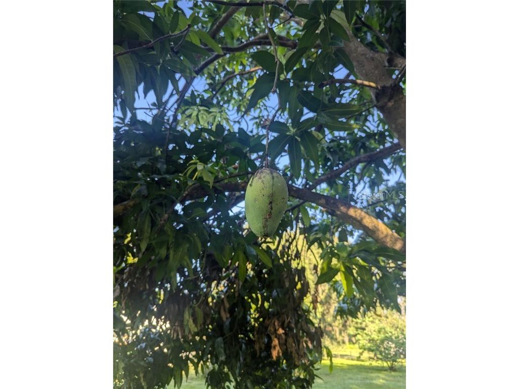 0 S Perry Avenue Fort Meade FL 33841 K4902894 image8