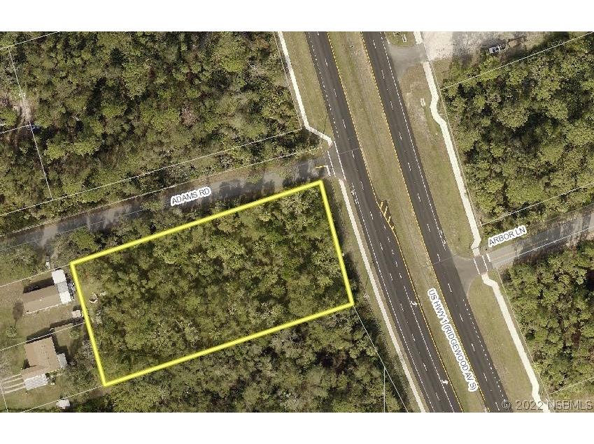 0 S Ridgewood Avenue Edgewater FL 32141 NS1070866 image1