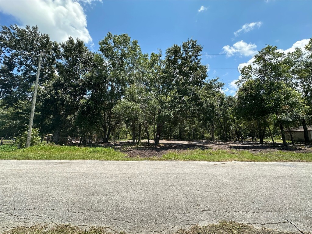 0 Saint Johns Road Land O Lakes FL 34638 T3547675 image1