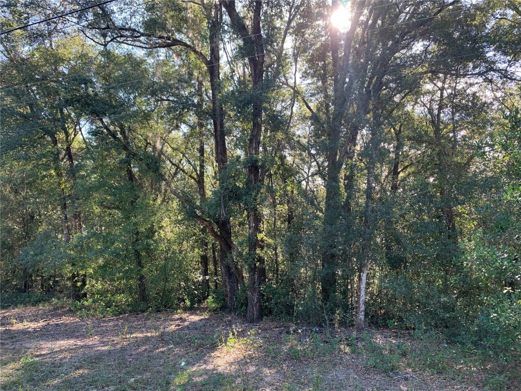 0 Saint Lawrence Drive Dunnellon FL 34432 O6152364 image1