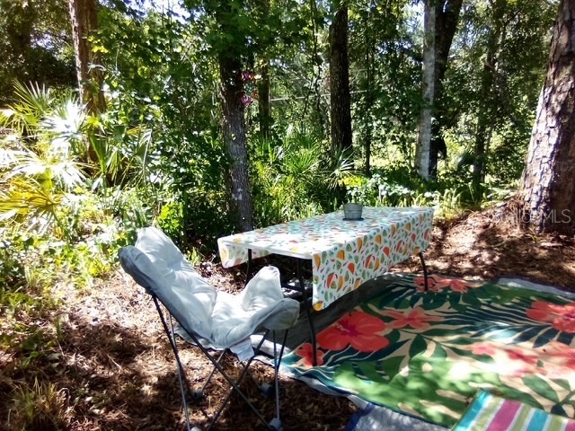 0 Salinas Avenue New Port Richey Fl 34654 Avenue New Port Richey FL 34654 TB8430328 image3