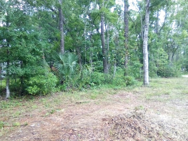 0 Salinas Avenue New Port Richey Fl 34654 Avenue New Port Richey FL 34654 TB8430328 image5