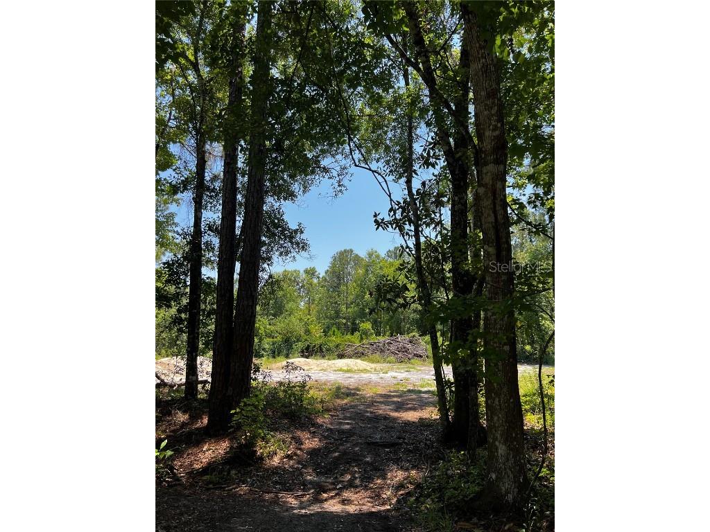 0 Salinas Avenue New Port Richey FL 34654 T3450915 image1