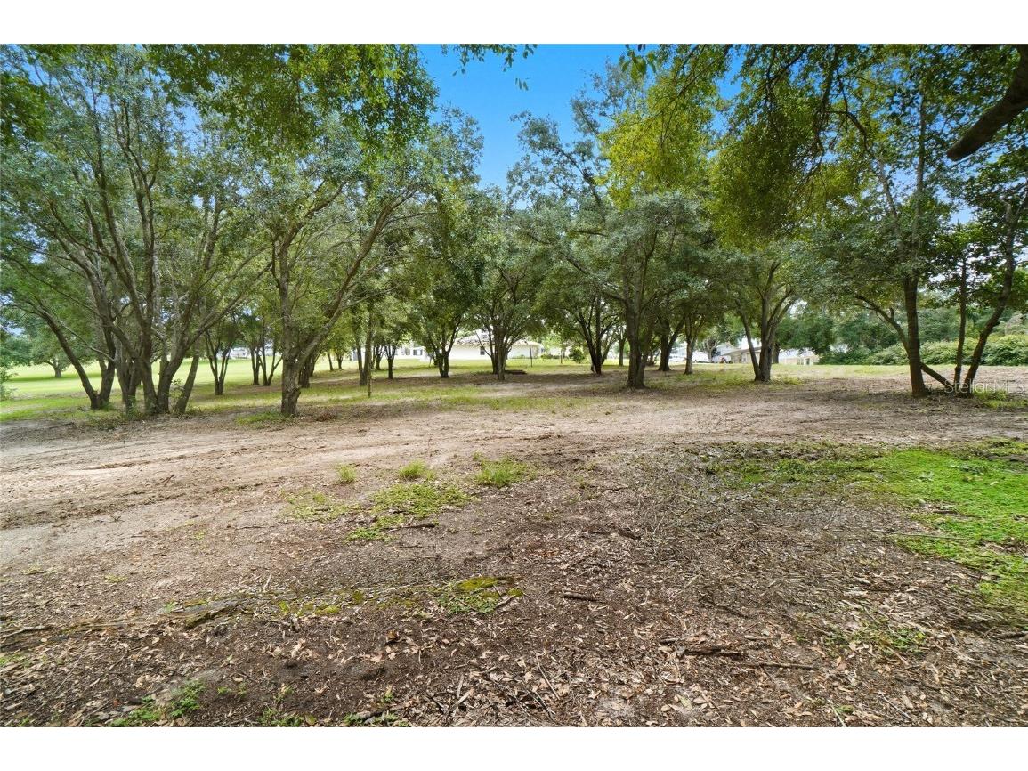 0 Sample Avenue W Lake Hamilton FL 33851 P4936260 image1