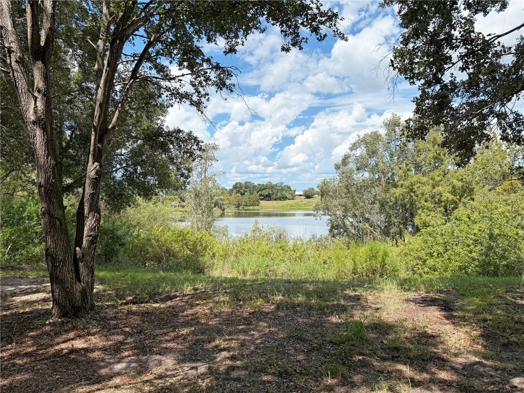 0 Sample Avenue W Lake Hamilton FL 33851 P4936260 image4