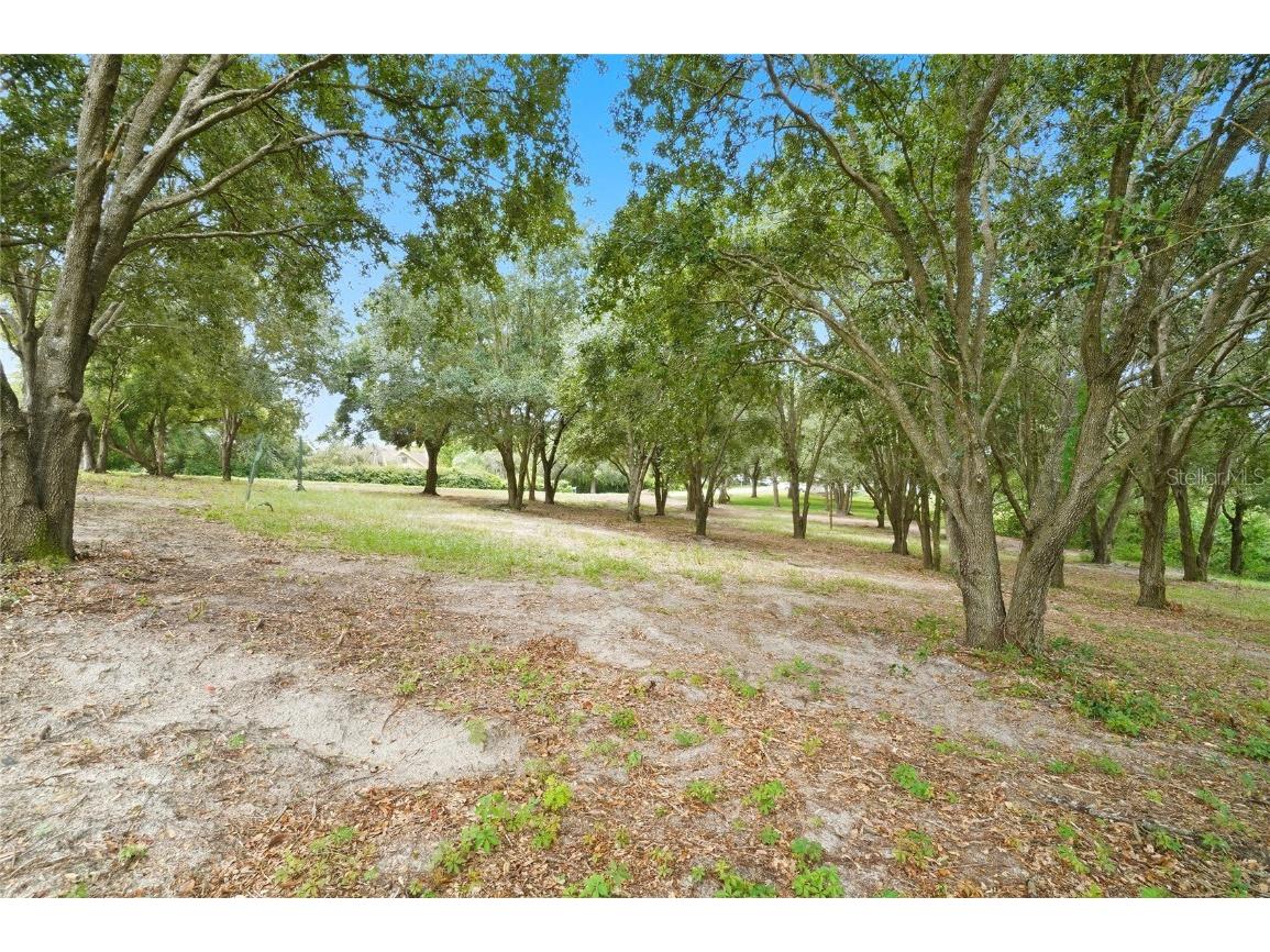 0 Sample Avenue W Lake Hamilton FL 33851 P4936260 image5