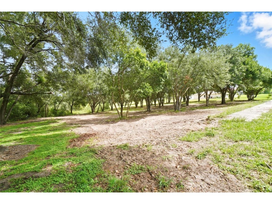 0 Sample Avenue W Lake Hamilton FL 33851 P4936260 image9