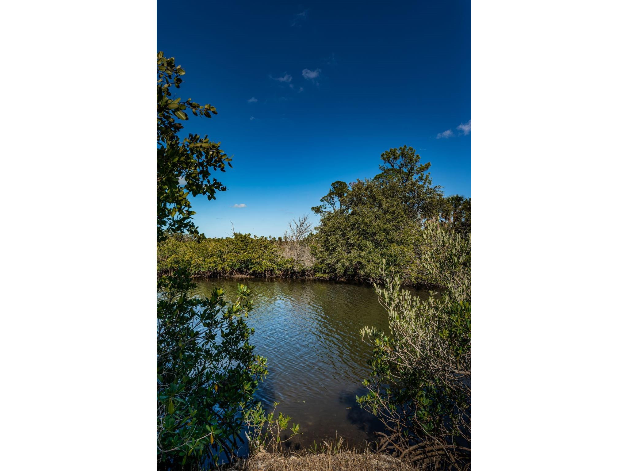 0 San Sierra Way Port Richey FL 34668 W7885819 image17