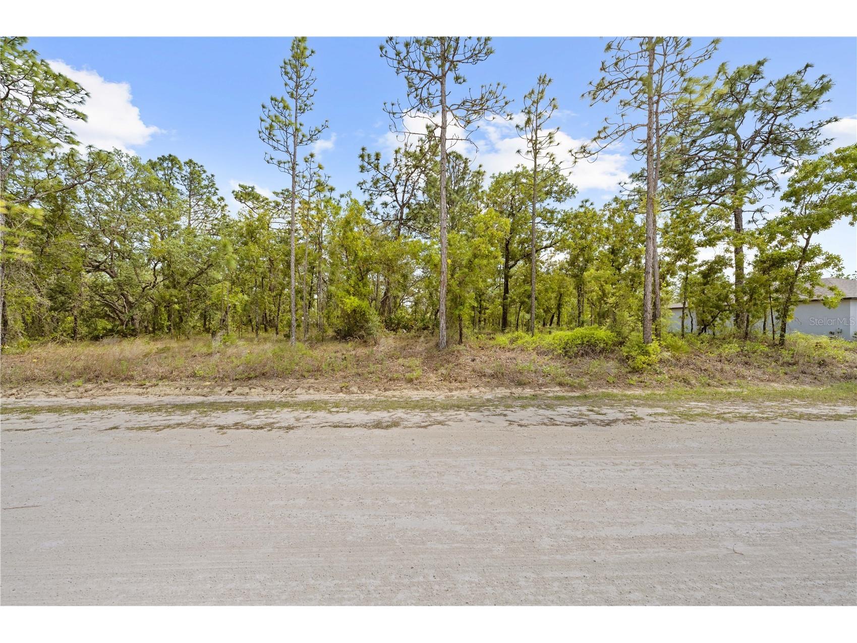 0 Sandpiper Avenue Weeki Wachee FL 34614 TB8501141 image12