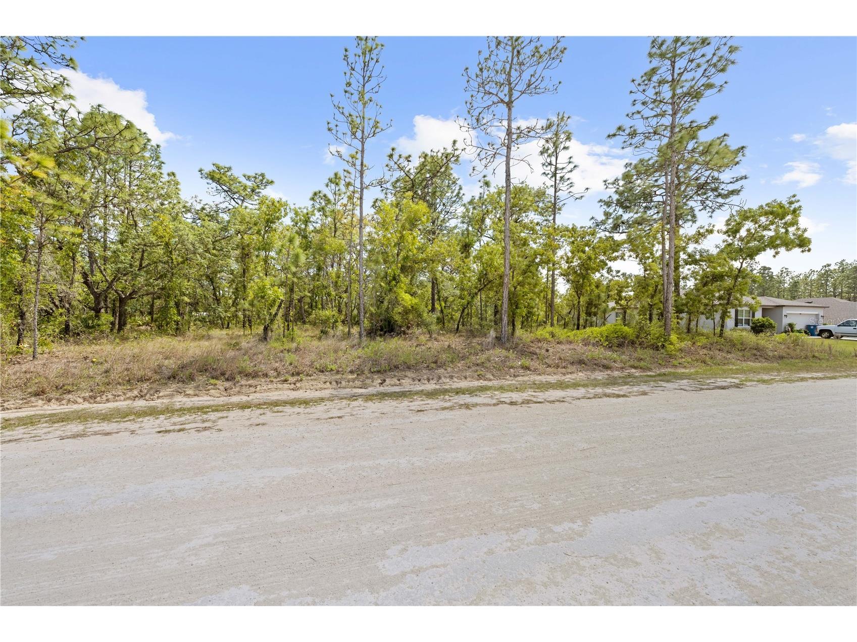 0 Sandpiper Avenue Weeki Wachee FL 34614 TB8501141 image13