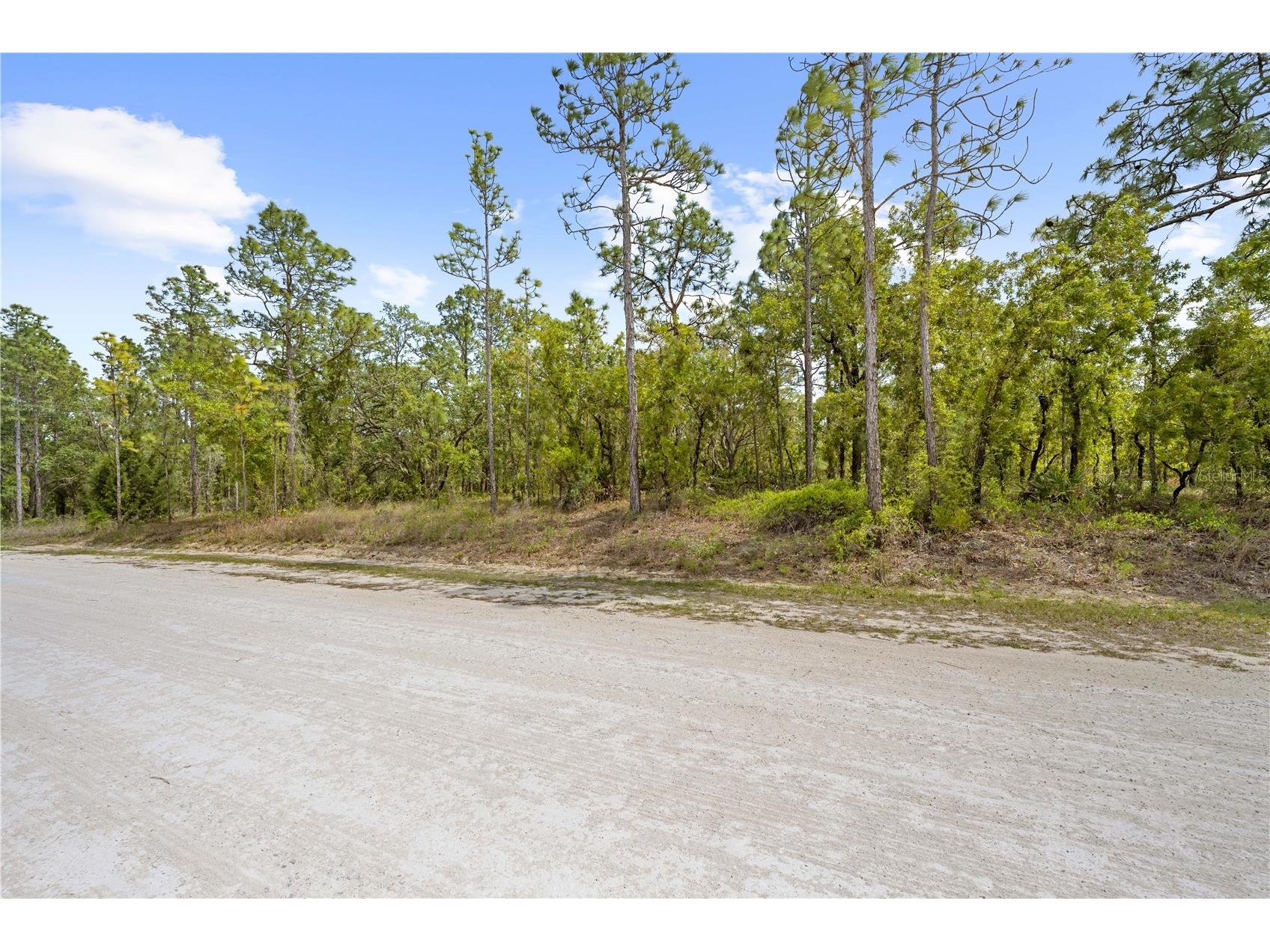 0 Sandpiper Avenue Weeki Wachee FL 34614 TB8501141 image3
