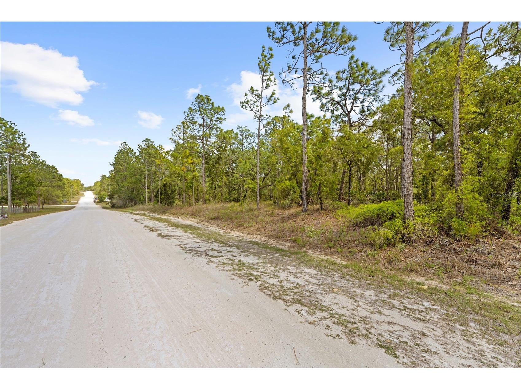 0 Sandpiper Avenue Weeki Wachee FL 34614 TB8501141 image4