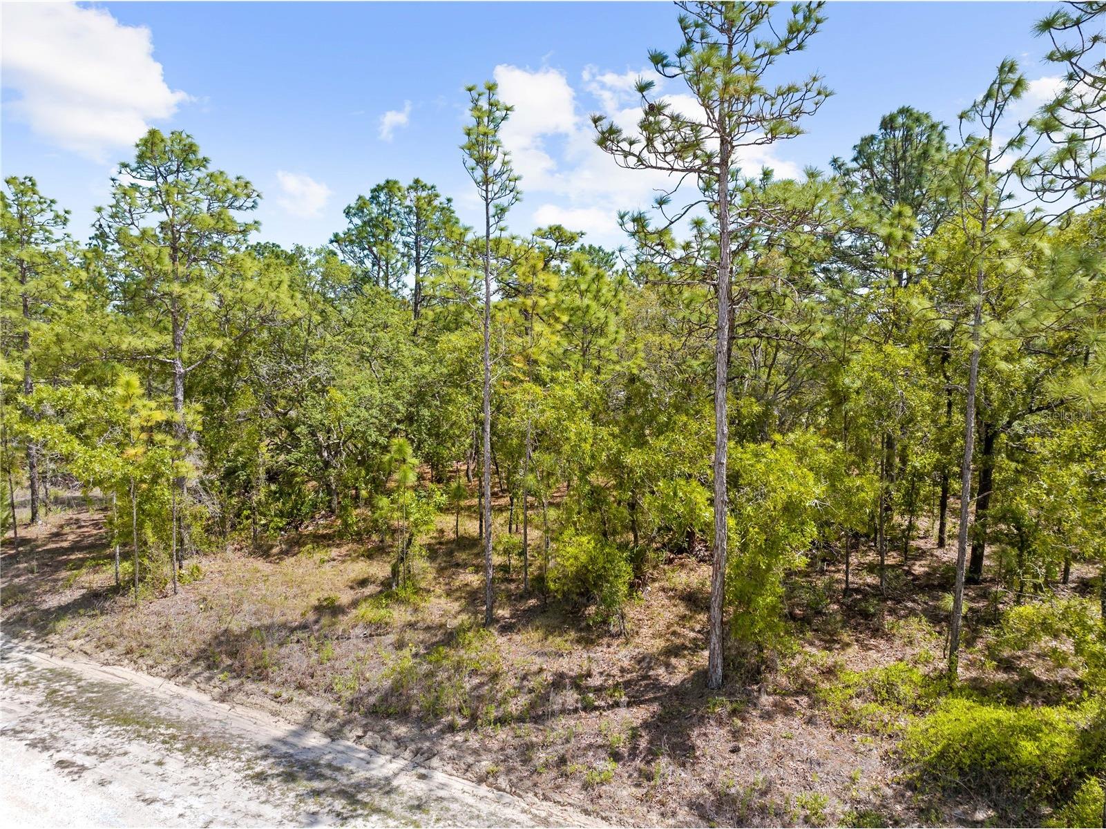 0 Sandpiper Avenue Weeki Wachee FL 34614 TB8501141 image5