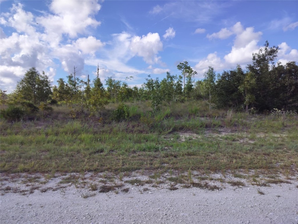 0 Scissorbill Avenue Brooksville FL 34614 TB8419876 image1