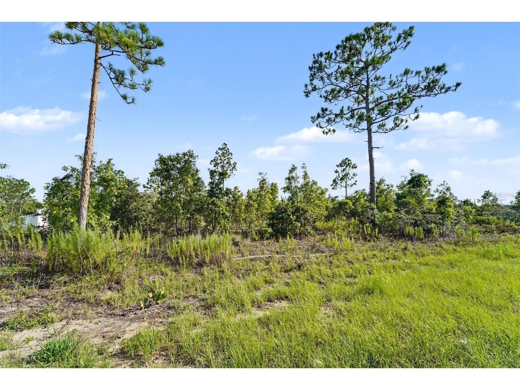 0 Scissorbill Avenue Weeki Wachee FL 34614 TB8531929 image11