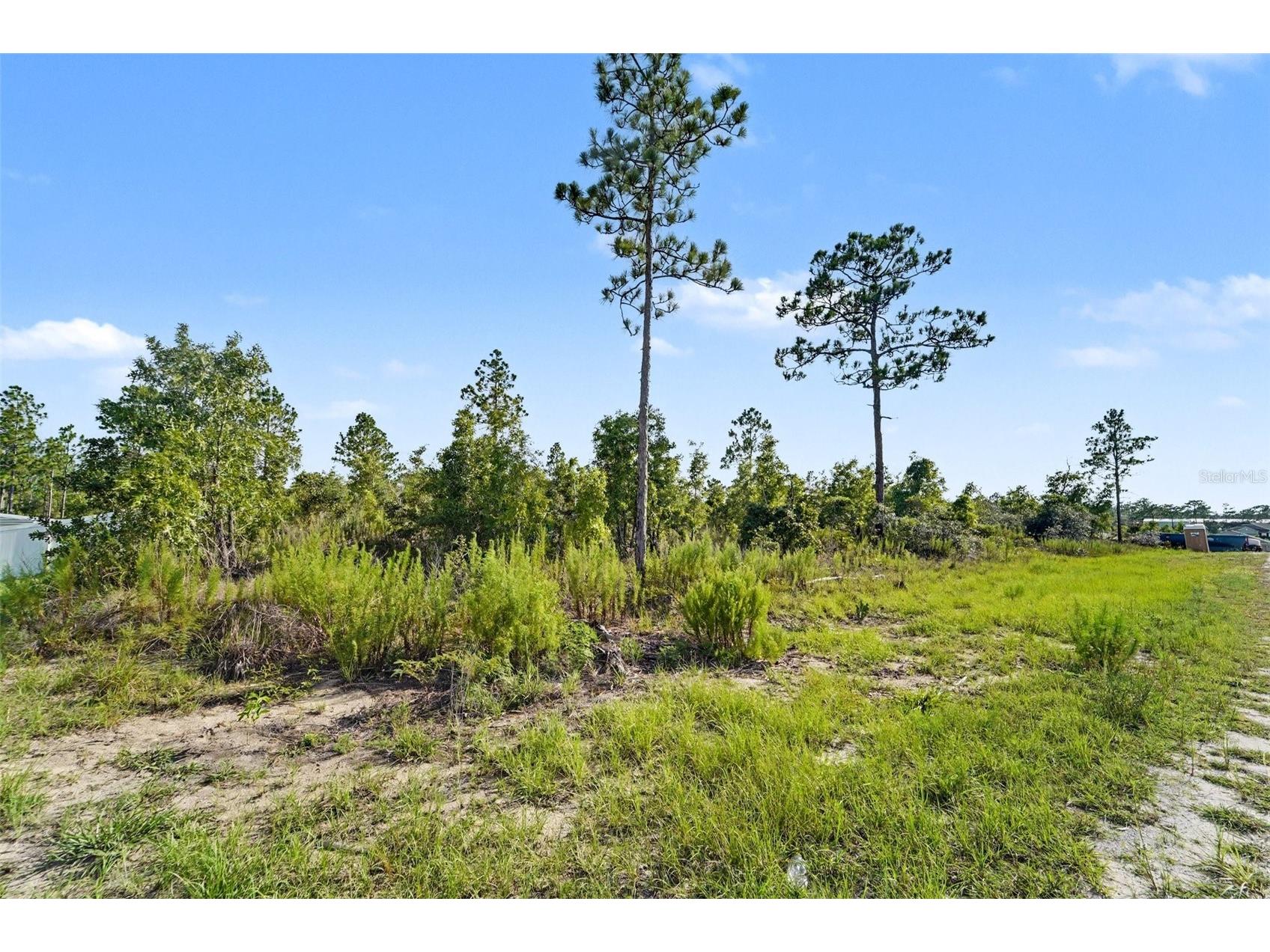 0 Scissorbill Avenue Weeki Wachee FL 34614 TB8531929 image4