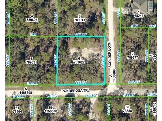 0 Scolder Loop Weeki Wachee FL 34614 W7856964 image1