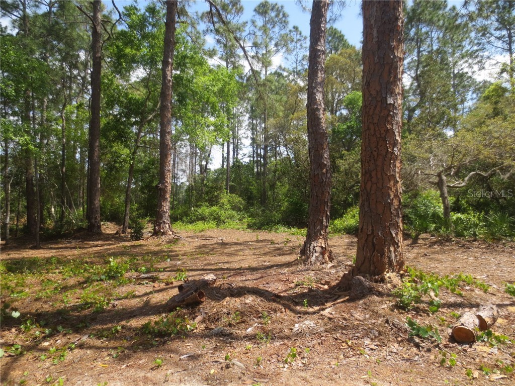 0 SE 10th Street Silver Springs FL 34488 - TOBE LAKE OM701873 image10