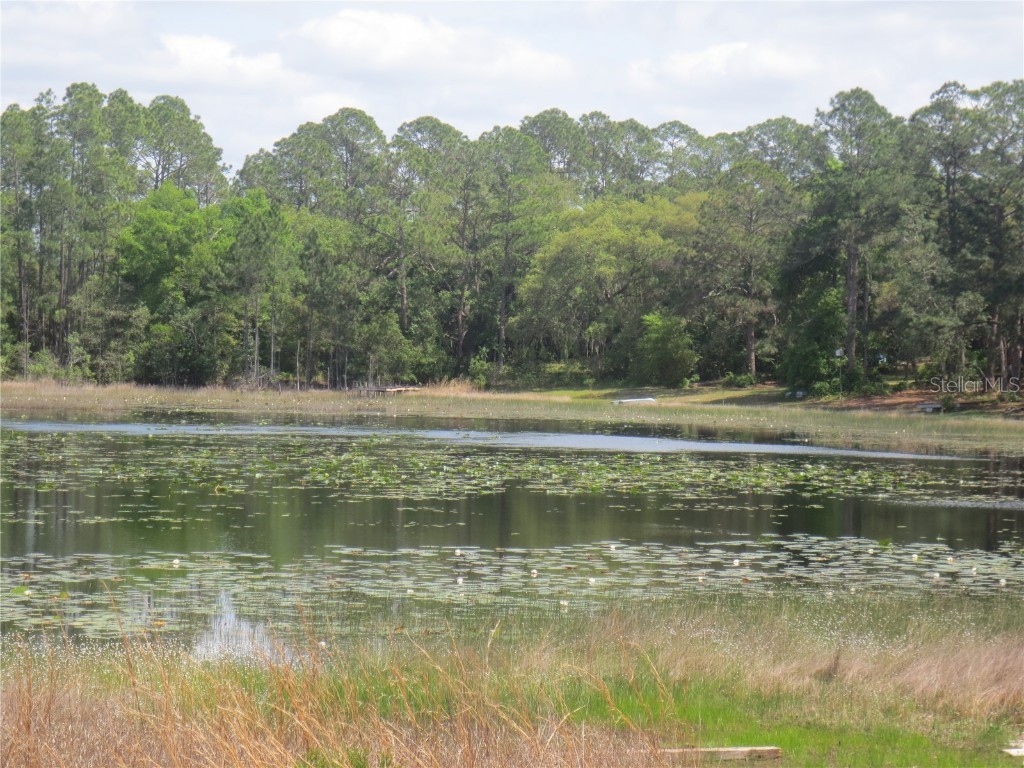 0 SE 10th Street Silver Springs FL 34488 - TOBE LAKE OM701873 image12