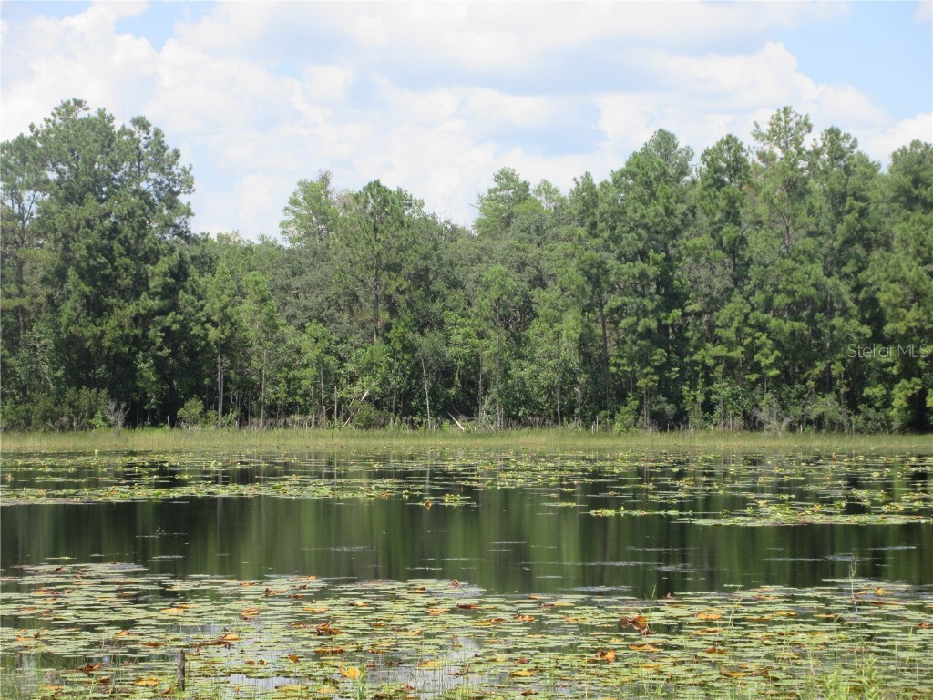 0 SE 10th Street Silver Springs FL 34488 - TOBE LAKE OM701873 image13