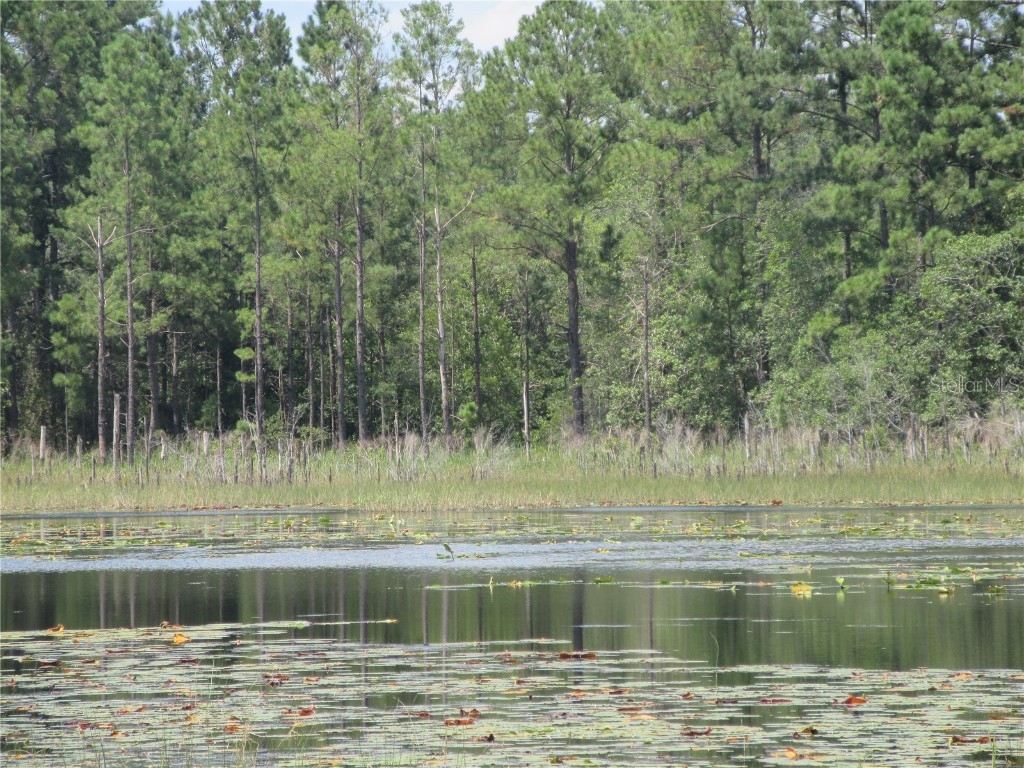 0 SE 10th Street Silver Springs FL 34488 - TOBE LAKE OM701873 image14