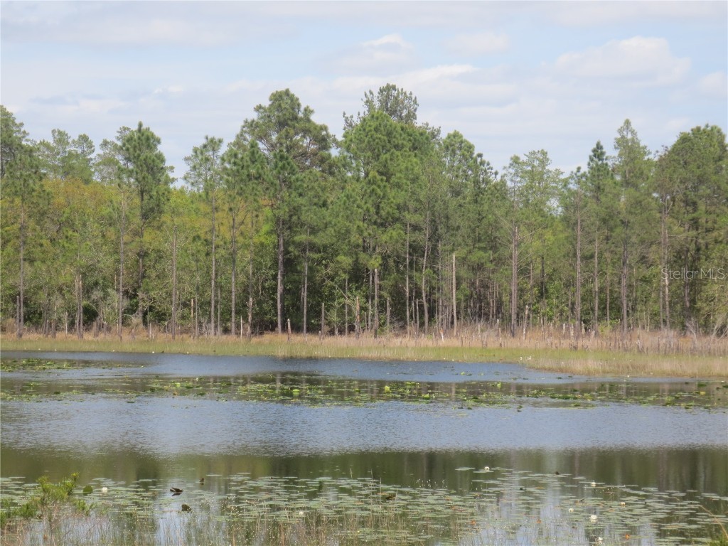 0 SE 10th Street Silver Springs FL 34488 - TOBE LAKE OM701873 image15
