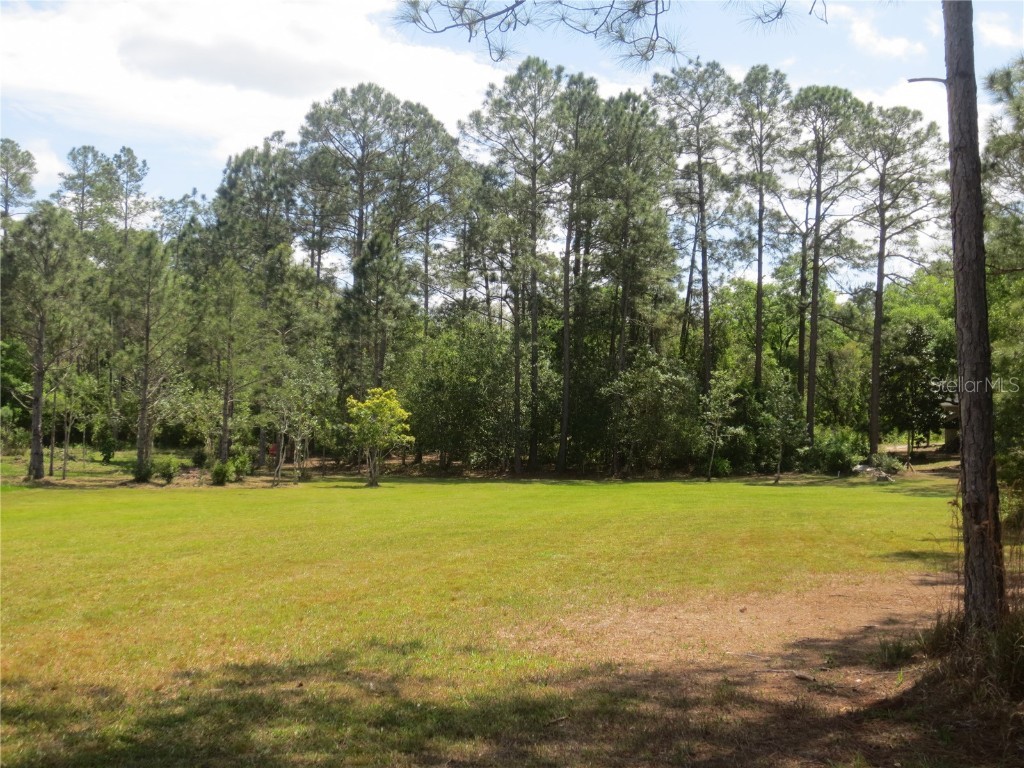 0 SE 10th Street Silver Springs FL 34488 - TOBE LAKE OM701873 image17