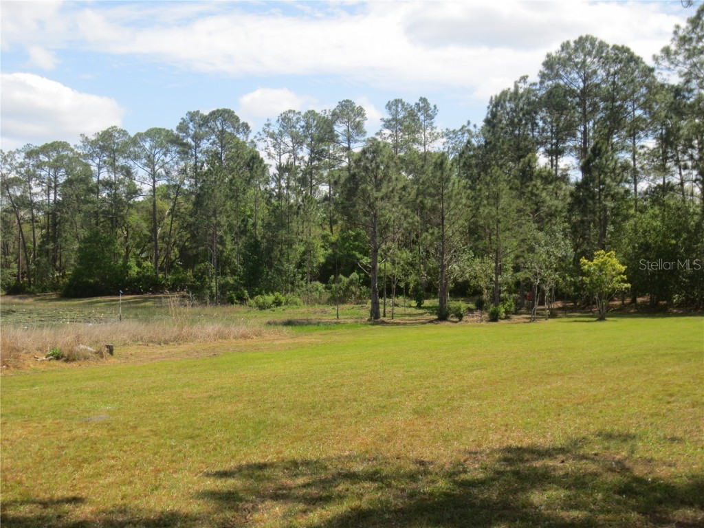 0 SE 10th Street Silver Springs FL 34488 - TOBE LAKE OM701873 image18