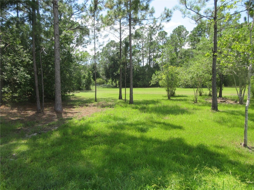 0 SE 10th Street Silver Springs FL 34488 - TOBE LAKE OM701873 image20