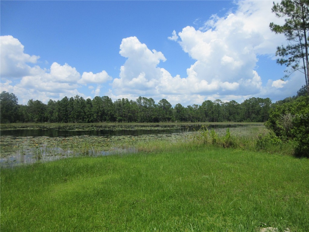 0 SE 10th Street Silver Springs FL 34488 - TOBE LAKE OM701873 image21