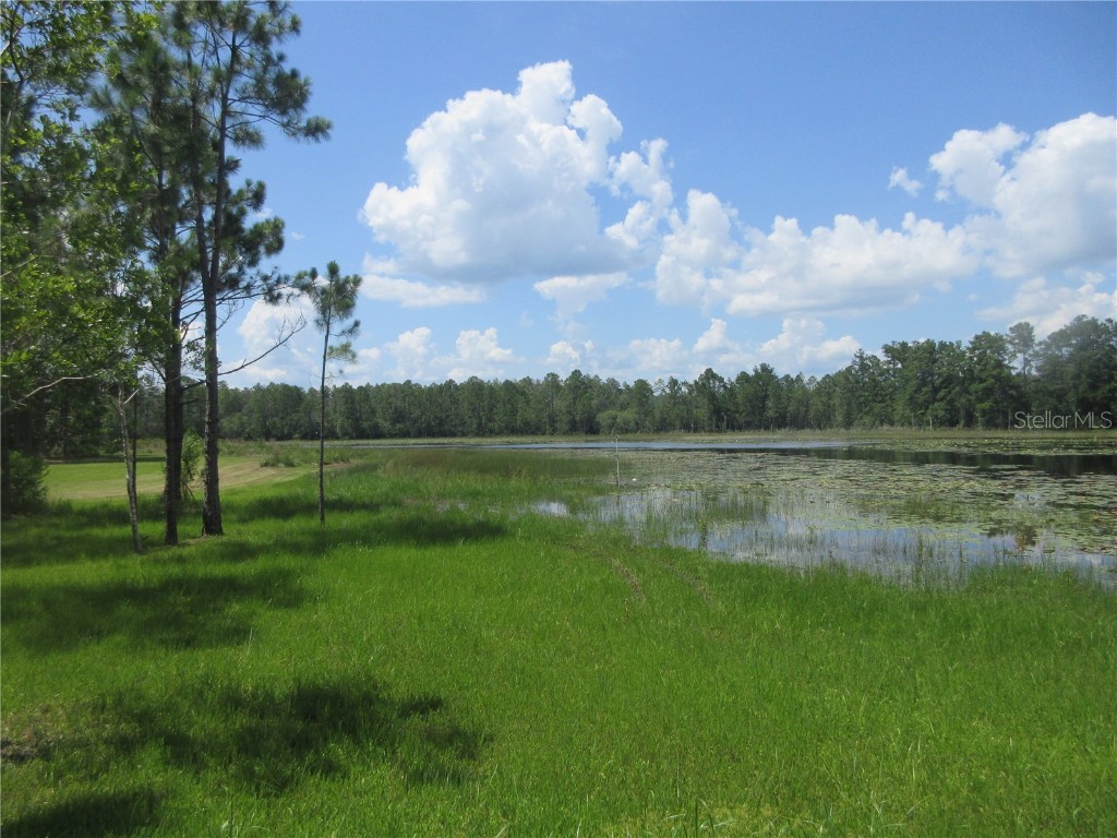 0 SE 10th Street Silver Springs FL 34488 - TOBE LAKE OM701873 image22