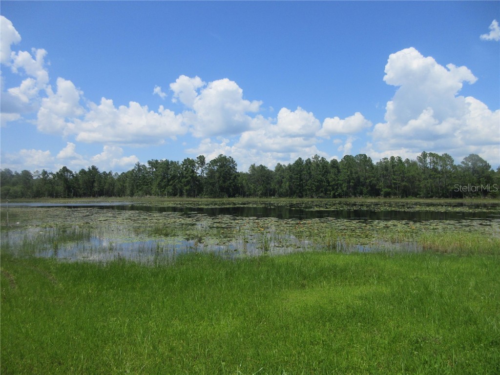 0 SE 10th Street Silver Springs FL 34488 - TOBE LAKE OM701873 image23