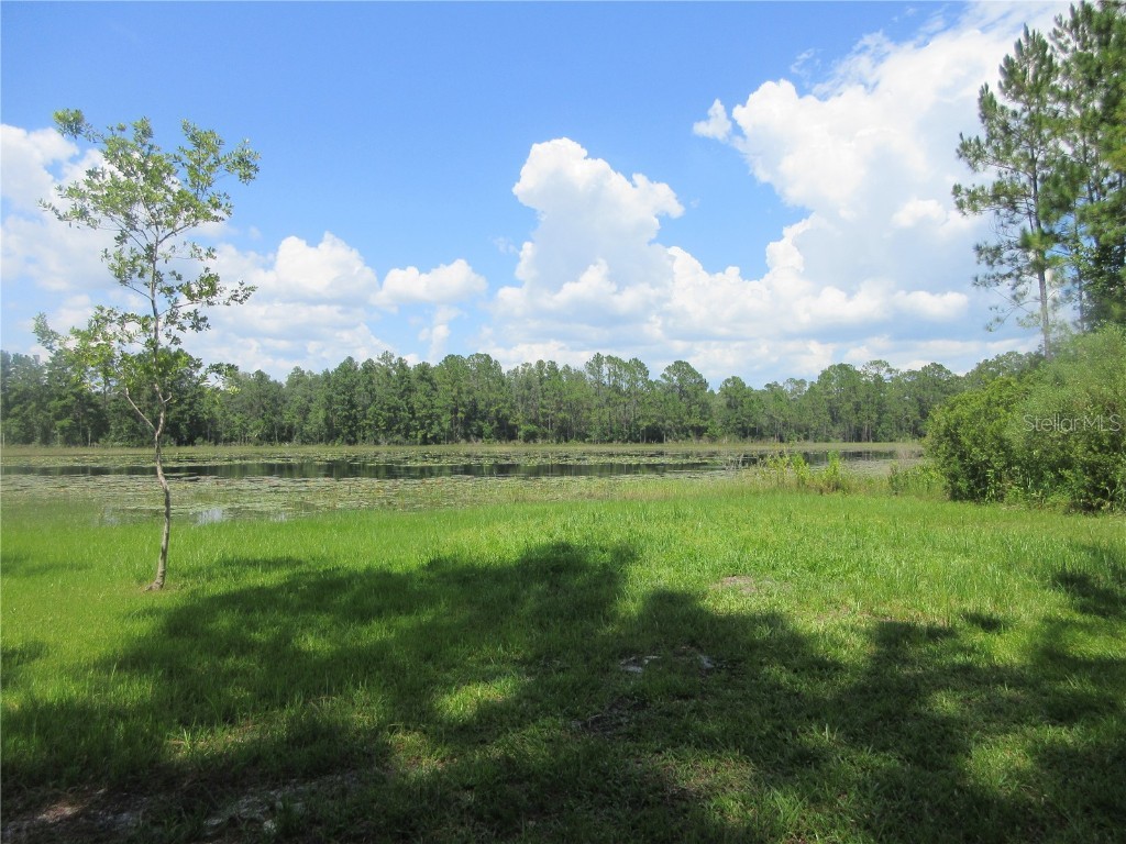 0 SE 10th Street Silver Springs FL 34488 - TOBE LAKE OM701873 image24