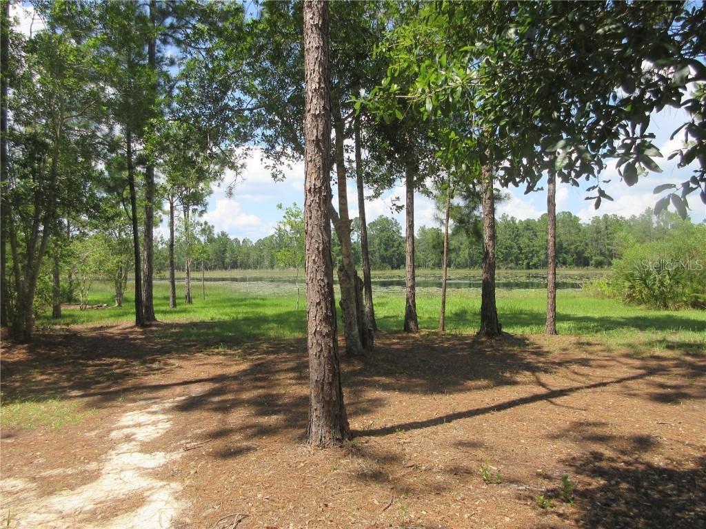 0 SE 10th Street Silver Springs FL 34488 - TOBE LAKE OM701873 image25