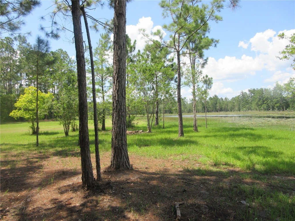 0 SE 10th Street Silver Springs FL 34488 - TOBE LAKE OM701873 image27