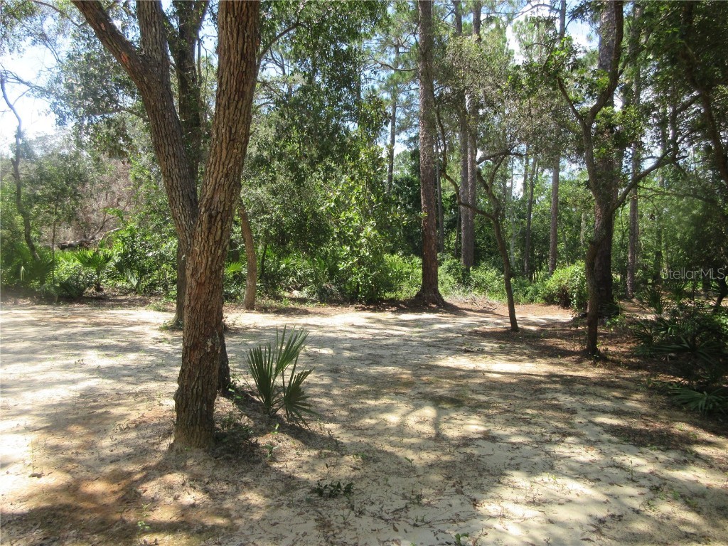 0 SE 10th Street Silver Springs FL 34488 - TOBE LAKE OM701873 image29