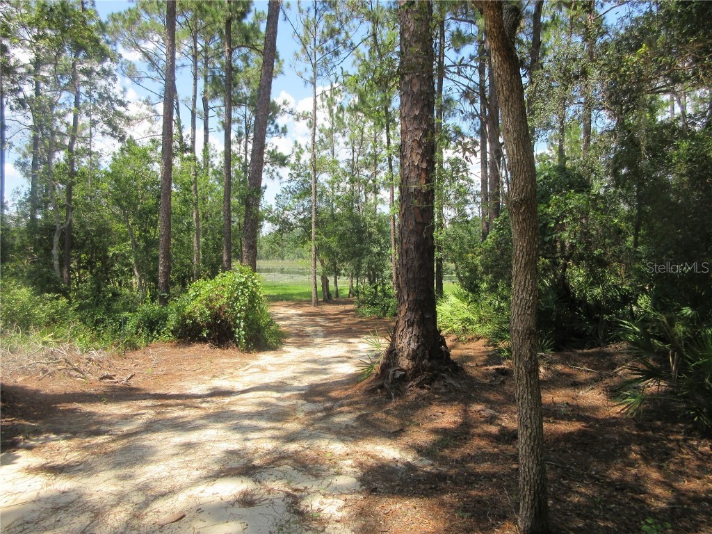 0 SE 10th Street Silver Springs FL 34488 - TOBE LAKE OM701873 image30