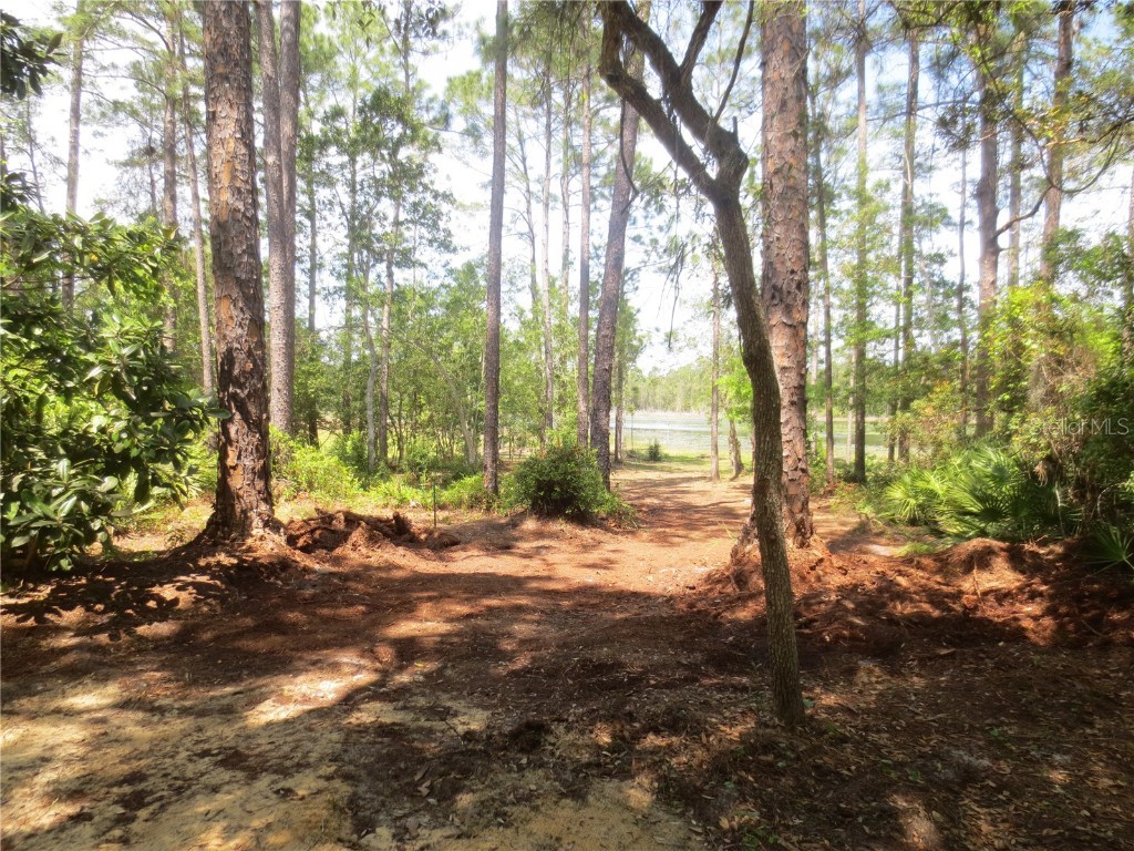 0 SE 10th Street Silver Springs FL 34488 - TOBE LAKE OM701873 image31