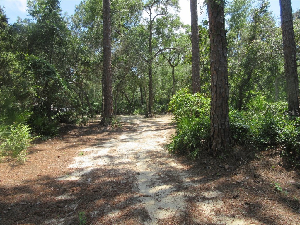 0 SE 10th Street Silver Springs FL 34488 - TOBE LAKE OM701873 image33
