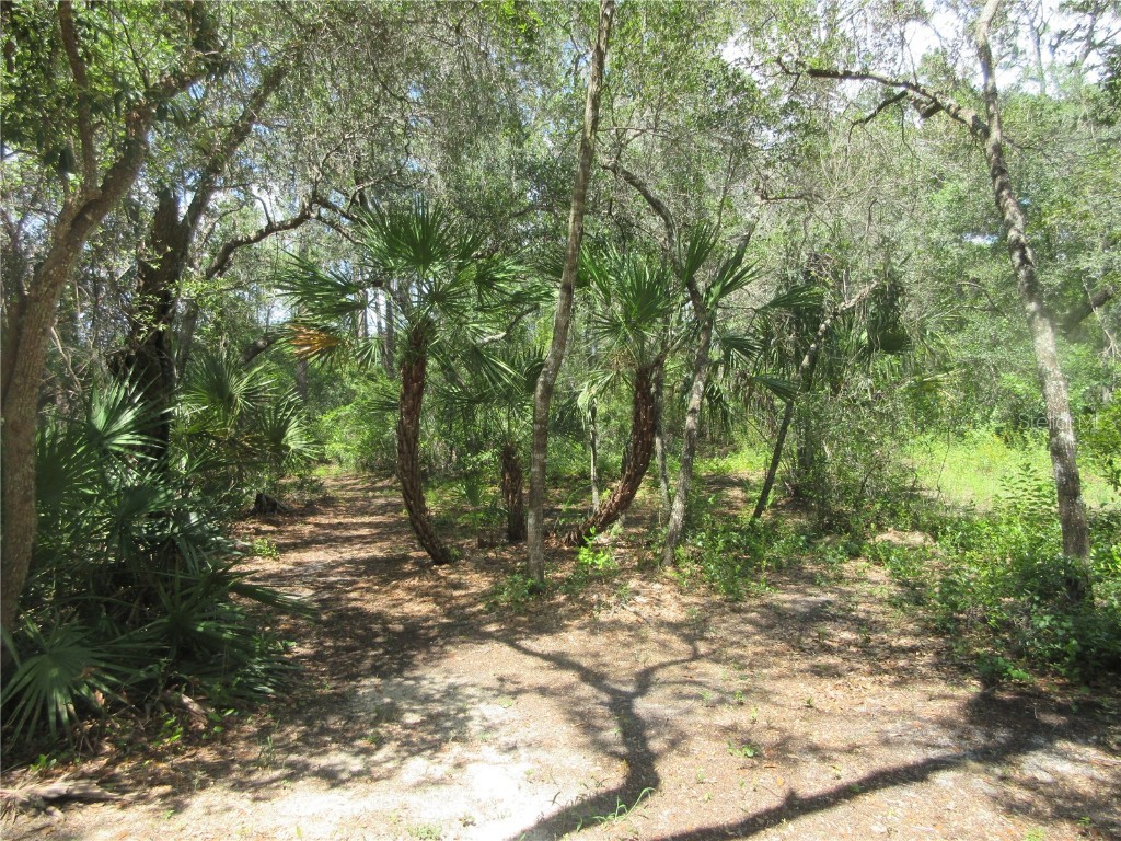0 SE 10th Street Silver Springs FL 34488 - TOBE LAKE OM701873 image34