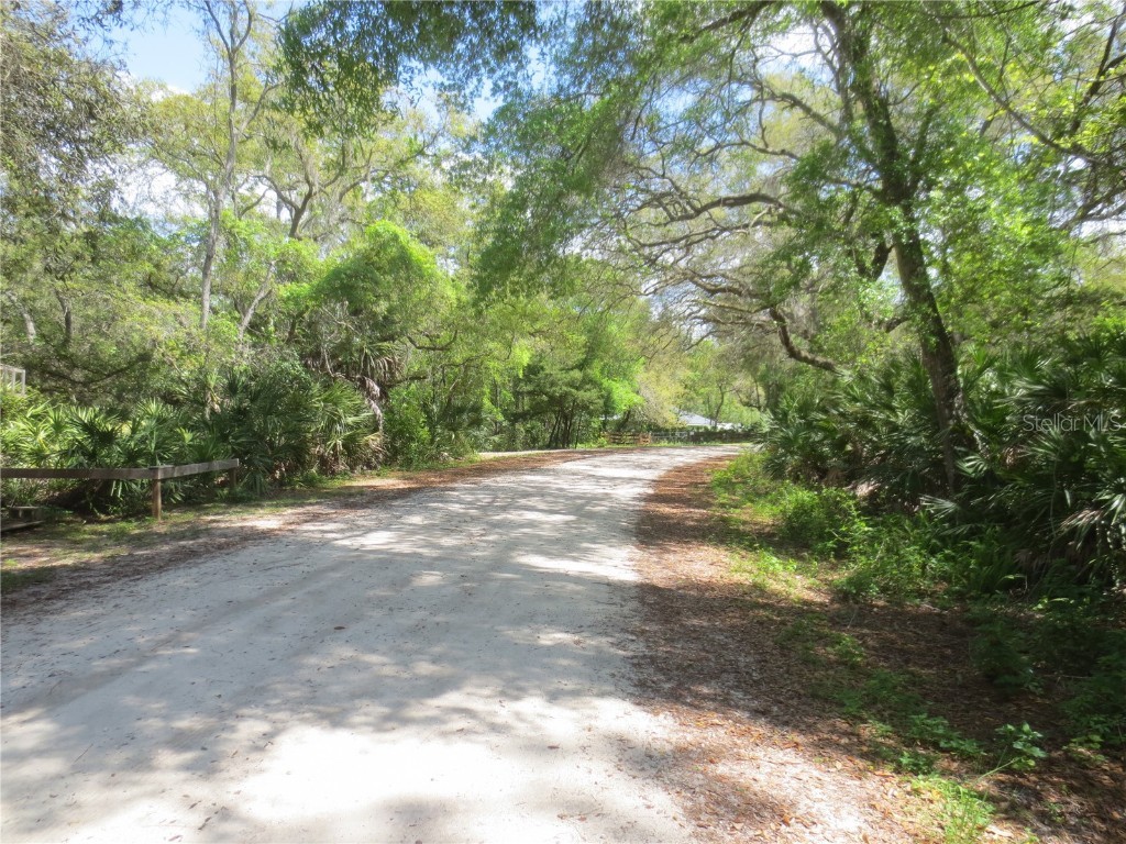 0 SE 10th Street Silver Springs FL 34488 - TOBE LAKE OM701873 image36