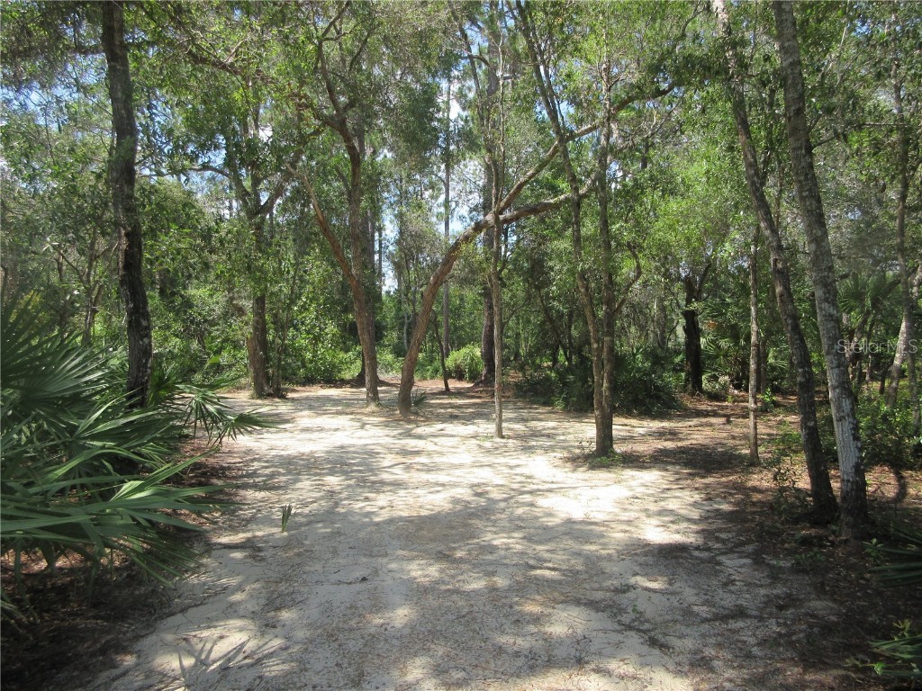 0 SE 10th Street Silver Springs FL 34488 - TOBE LAKE OM701873 image37
