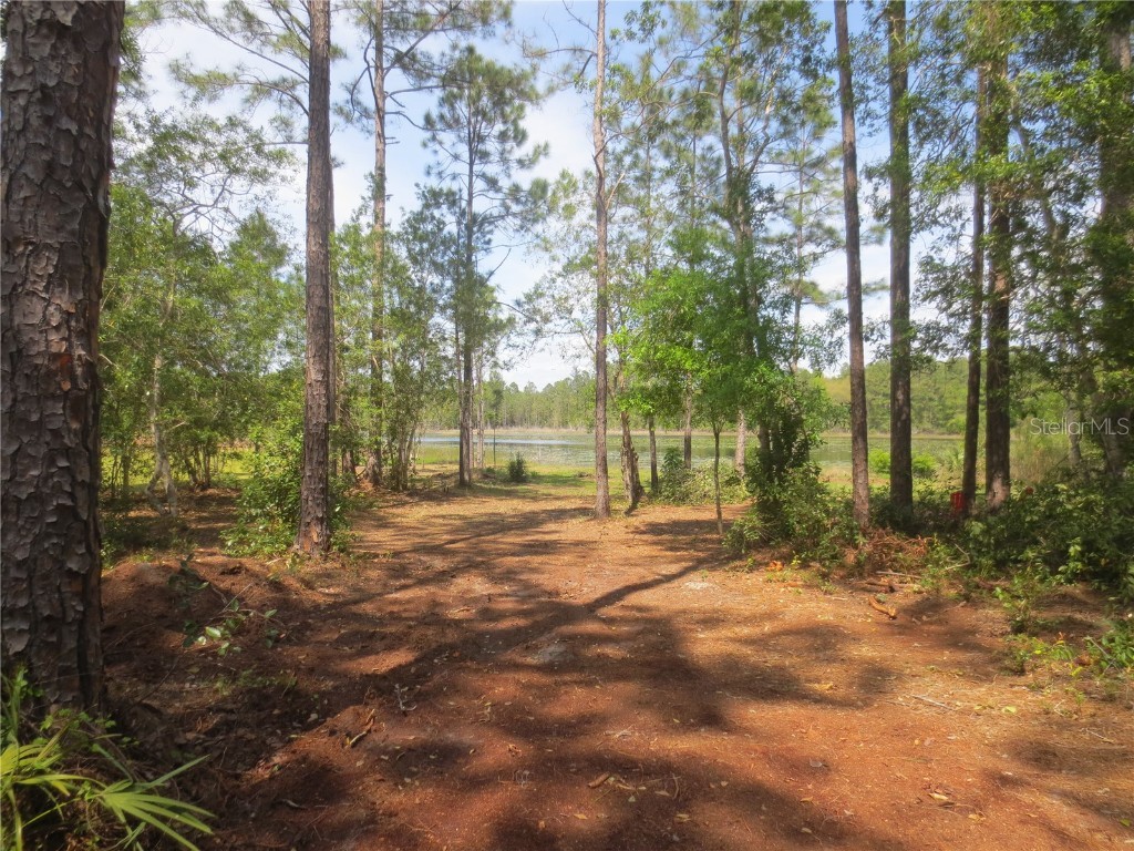 0 SE 10th Street Silver Springs FL 34488 - TOBE LAKE OM701873 image42