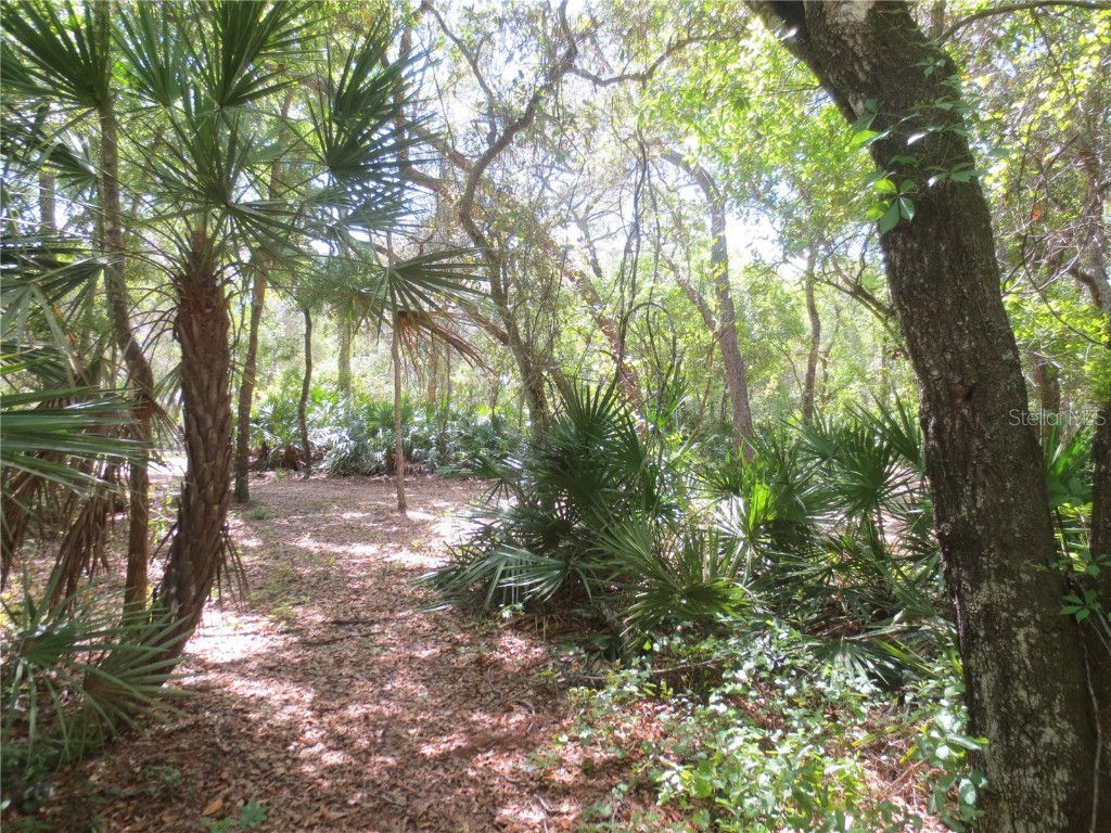 0 SE 10th Street Silver Springs FL 34488 - TOBE LAKE OM701873 image43