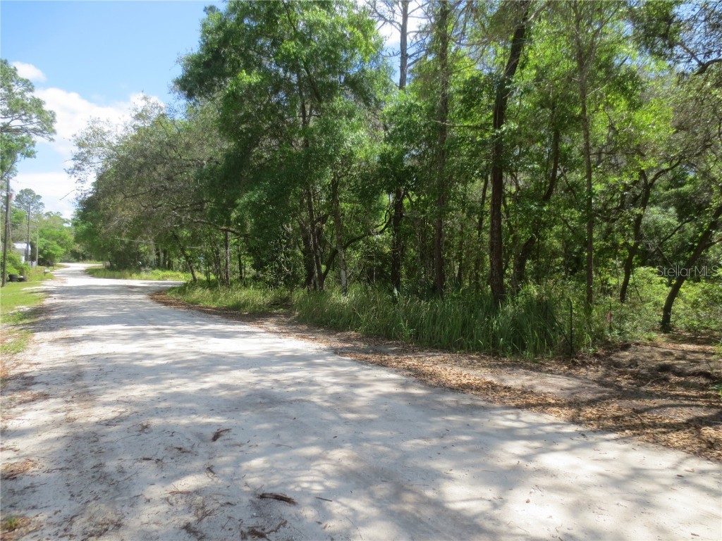0 SE 10th Street Silver Springs FL 34488 - TOBE LAKE OM701873 image45