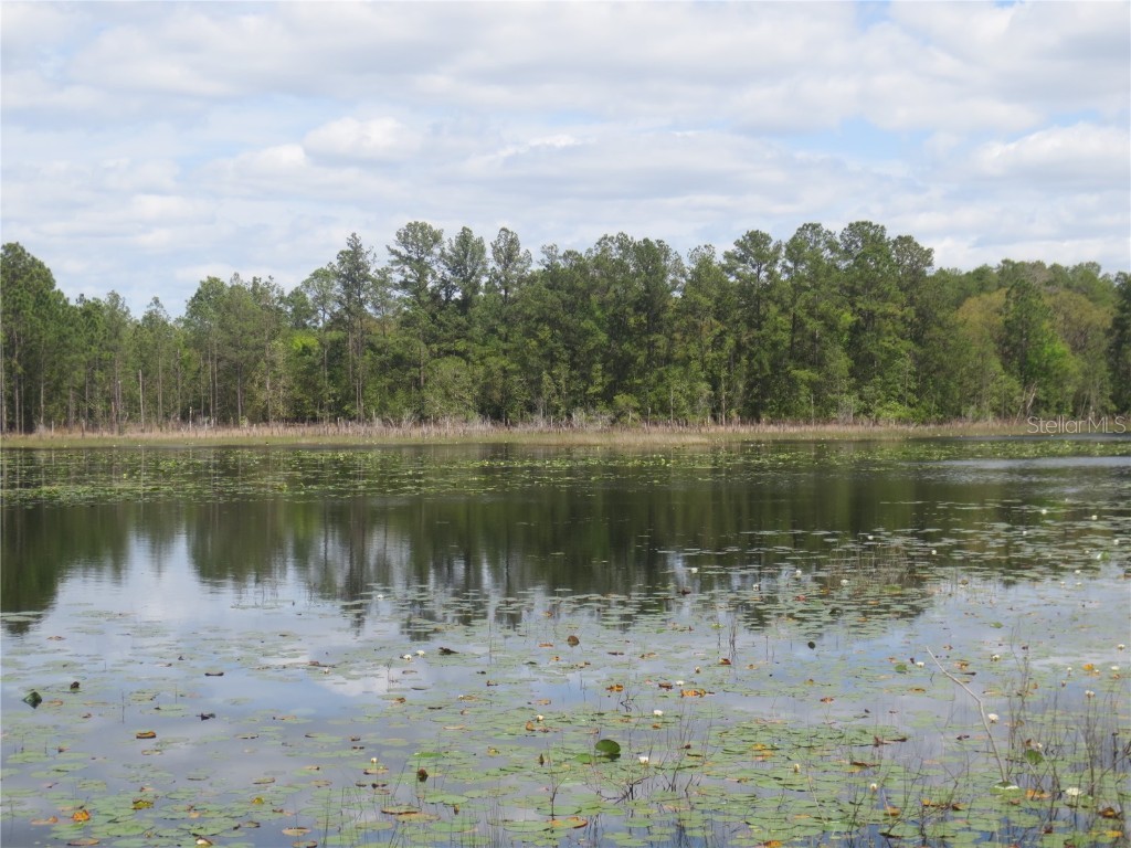 0 SE 10th Street Silver Springs FL 34488 - TOBE LAKE OM701873 image7