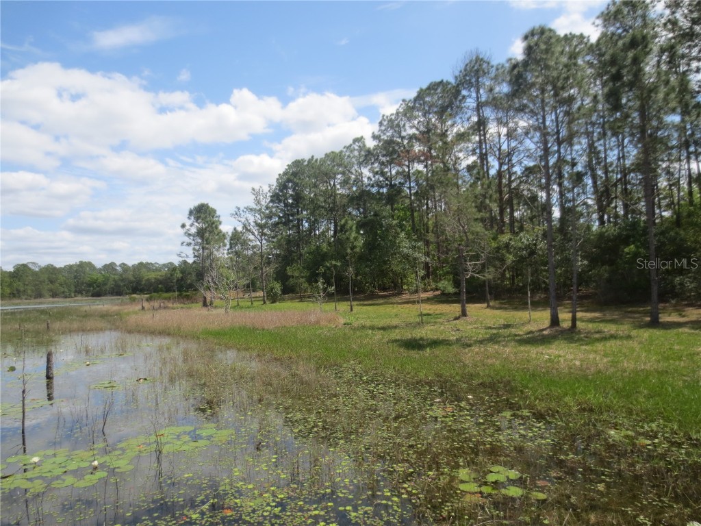 0 SE 10th Street Silver Springs FL 34488 - TOBE LAKE OM701873 image8