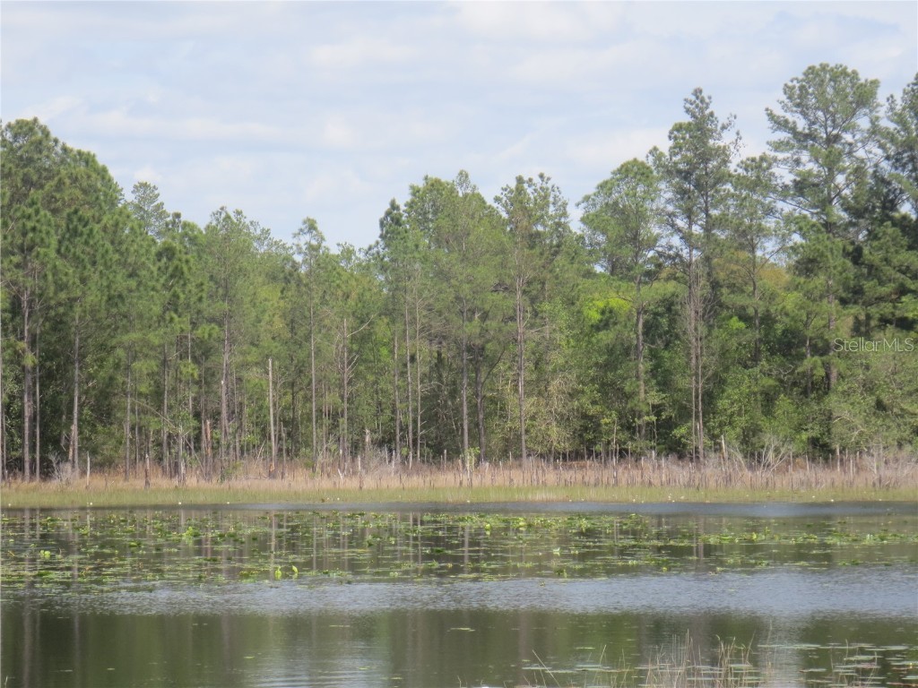 0 SE 10th Street Silver Springs FL 34488 - TOBE LAKE OM702888 image11